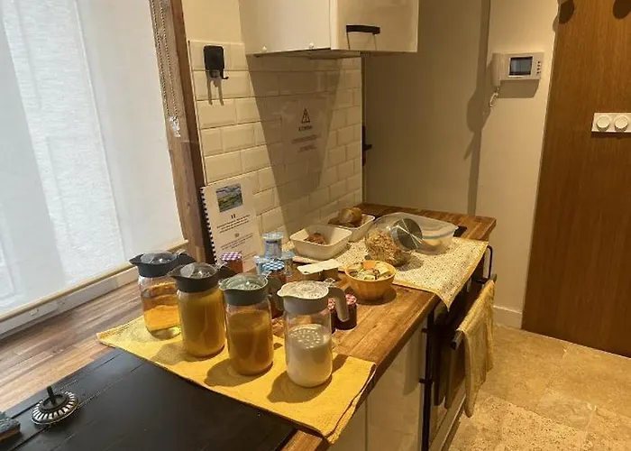 **auberge De L'aude** 4* Каркассон