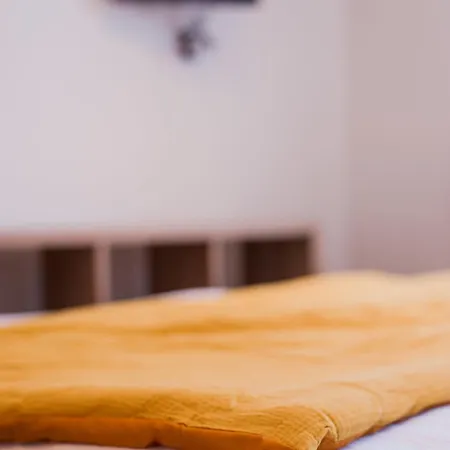 **auberge De L'aude** 4* Каркассонн